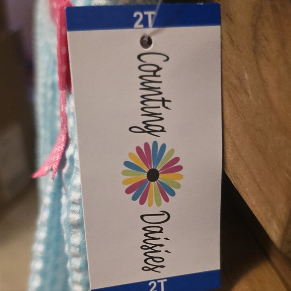 2T Counting Daisies cupcake dress - New with tags - Picture 4 of 5